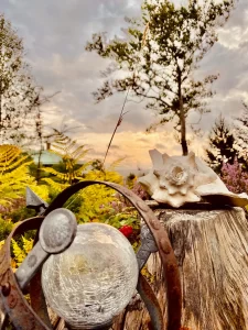 50285395318_5c5d227804_o