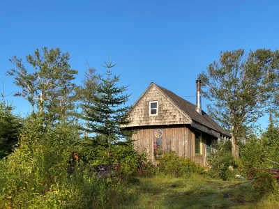 50286202062_f1f8e0c963_o